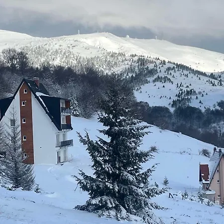 Vila Banovic Kopaonik Exteriör bild
